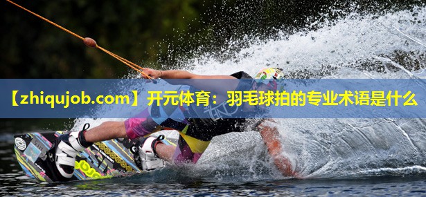 羽毛球拍的专业术语是什么